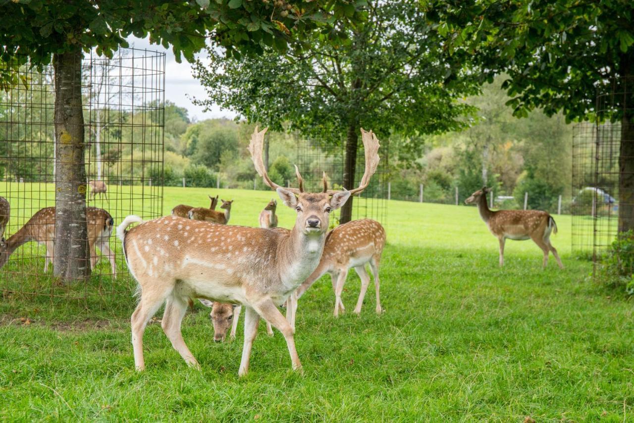 Hotel Hofgut Tiergarten เอาเล็นดอร์ฟ ภายนอก รูปภาพ
